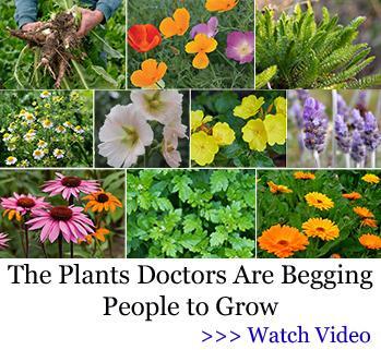 Click to view the The Plants That Will Disappear First in a Crisis.