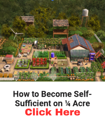 Discover more about the How To Become Self-Sufficient on a Quarter Acre?.